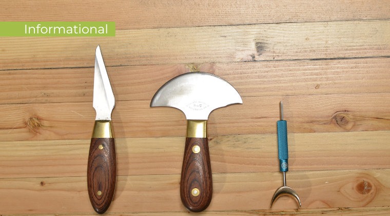 Keeping Sharp with Paul Zalesak