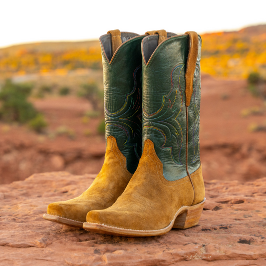 Footwear Competition – Novice Division