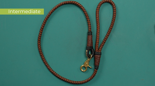 Intermediate Braiding and Knots