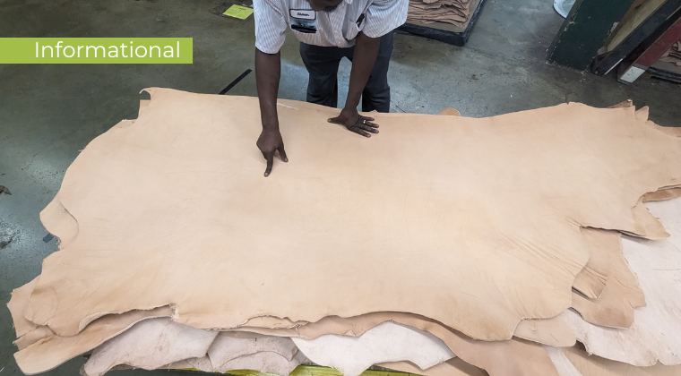 Intro to Leather Selection