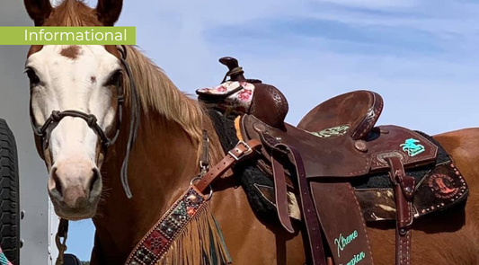 Saddle Fit Fundamentals