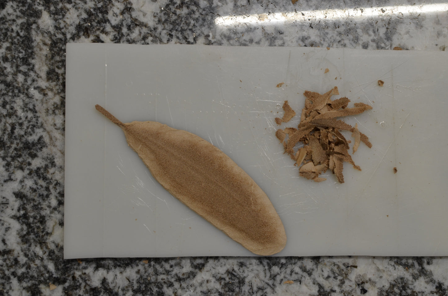 Creating & Coloring 3D Leather Feathers with Jim Linnell