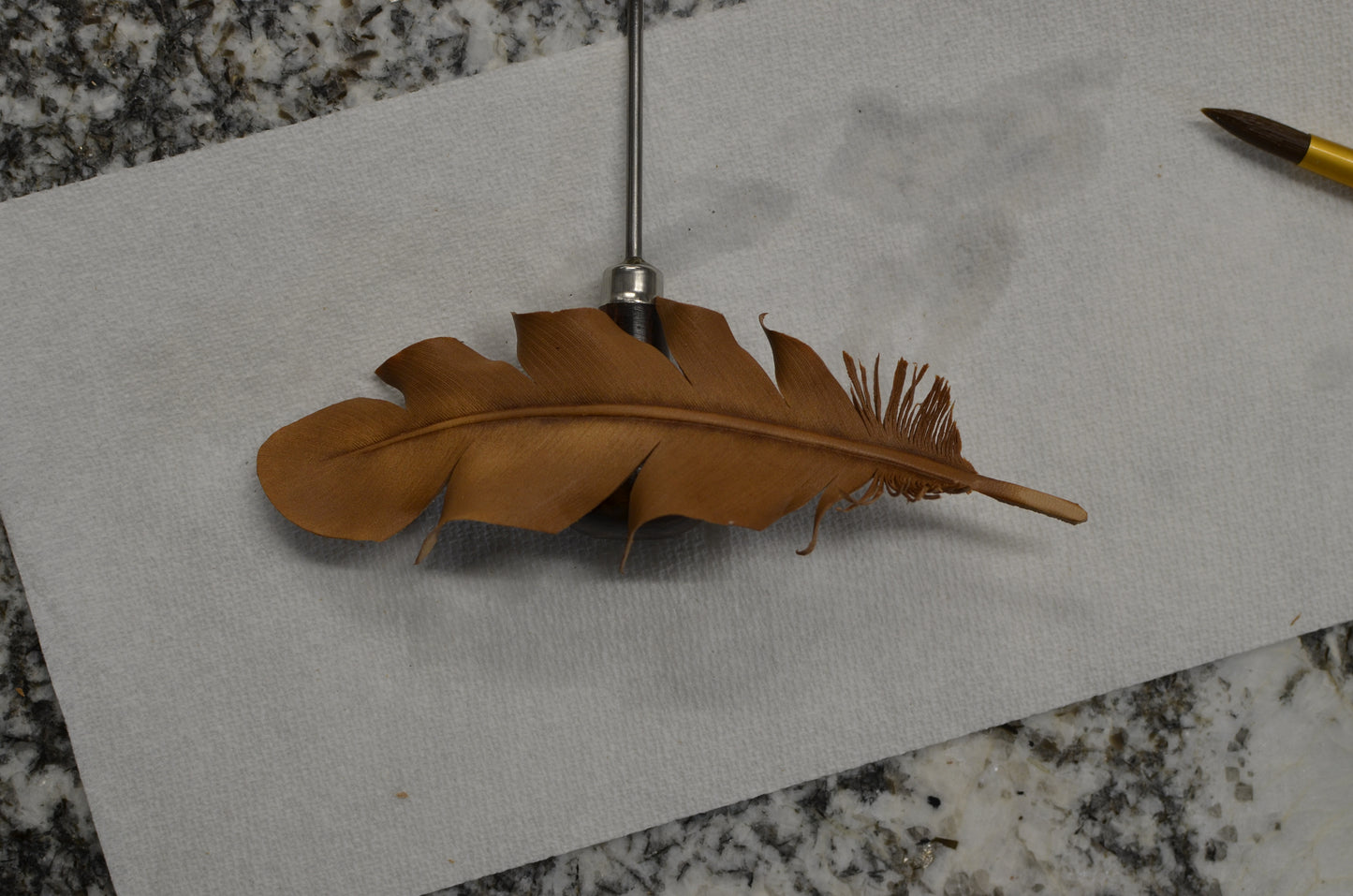 Creating & Coloring 3D Leather Feathers with Jim Linnell