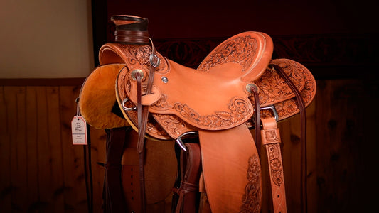 2026 Novice Saddle Competition