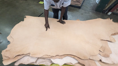 Intro to Leather Selection